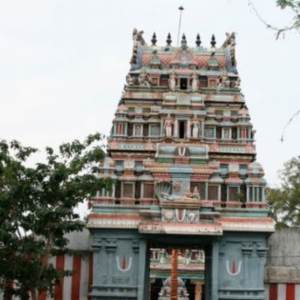  Thirukkavithalam (Sri Gajendra Varadha Perumal Temple)